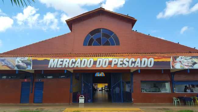 MERCADO DO PESCADO, POR CLAUDIO COSTA - PORTO VELHO - RO