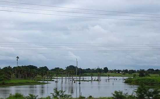 LAGOA EM PRESIDENTE MDICI-RO-FOTO:ANTONIO CESAR ALVES  - PRESIDENTE MDICI - RO