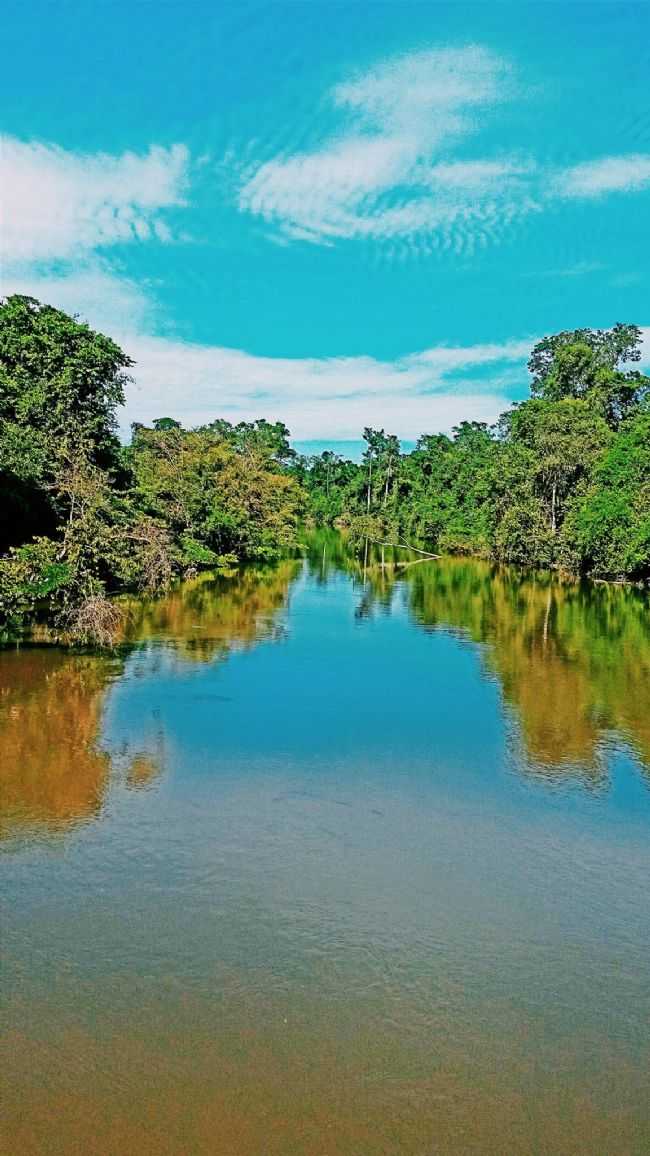 RIO NA SADA DE SO MIGUEL EM DIREO A SERINGUEIRAS, POR EDIMARA CORRA - SO MIGUEL DO GUAPOR - RO