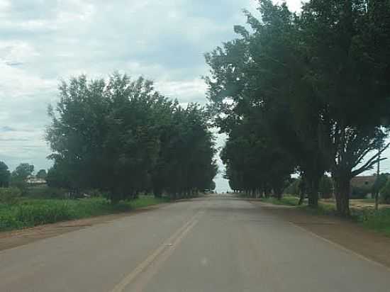 RODOVIA ARBORIZADA NA ENTRADA DE VILA EXTREMA-FOTO:CBMATOS - VILA EXTREMA - RO