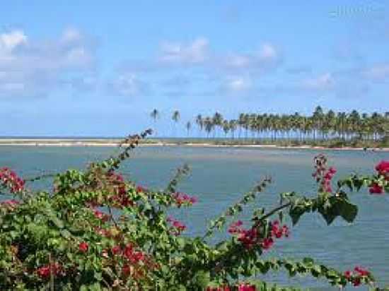 PAISAGEM-FOTO:BAIXAKI - JACUPE - BA