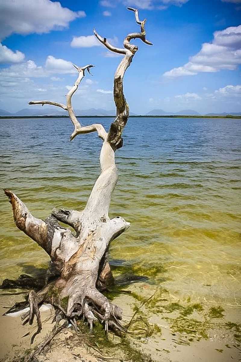 LAGO CARACARAN - NORMANDIA - RR