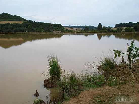 AUDE EM RESERVA INDGENA EM GUA SANTA-FOTO:JLCZR010 - GUA SANTA - RS