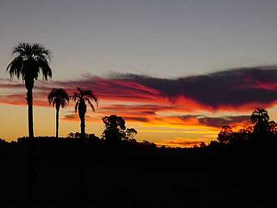 PR DO SOL EM GUAS CLARAS-FOTO:FABRICIO HERTZ  - GUAS CLARAS - RS