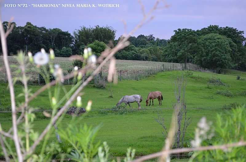 AJURICABA - RIO GRANDE DO SUL - AJURICABA - RS