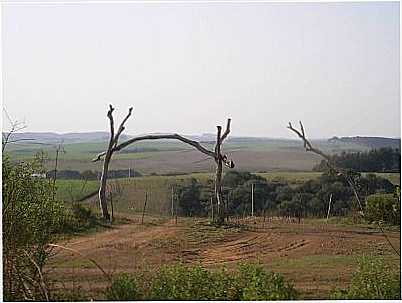 PAISAGEM ANDR DA ROCHA, POR LUCIMARA JACQUES VIEIRA - ANDR DA ROCHA - RS