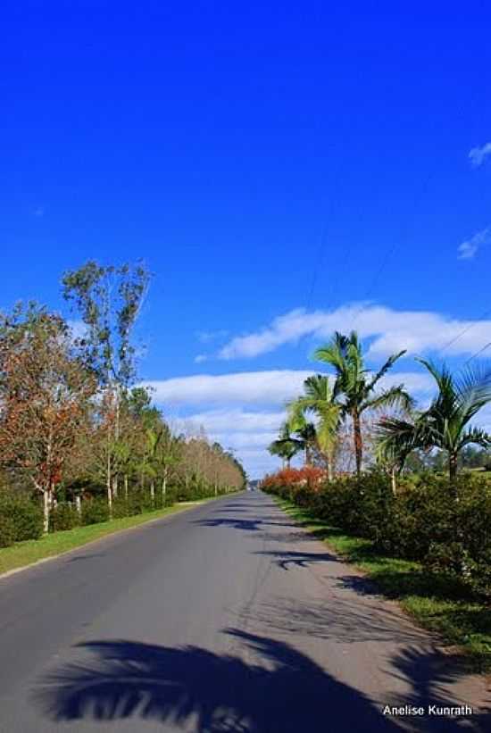 ENTRADA DA CIDADE DE ARARIC-FOTO:ANELISE KUNRATH - ARARIC - RS