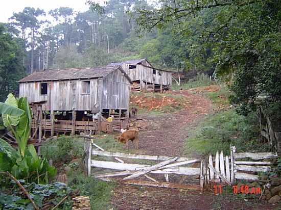 PROPRIEDADE RURAL NO INTERIOR DE ARATIBA-RS-FOTO:ELTONSTRADA - ARATIBA - RS