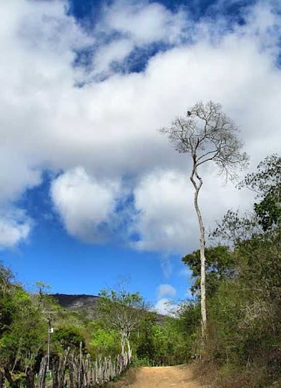 CAMINHO DO BEND EM JAGUARARI-FOTO:HEBERTEGUEDES - JAGUARARI - BA