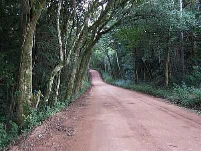 ESTRADA-NERCI POLLNOW - ARROIO DO PADRE - RS