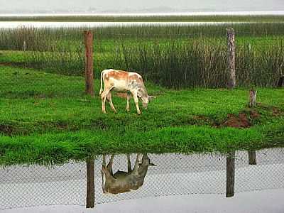 FAZENDA DA LAGOA-ELOI FARIAS - ARROIO DO SAL - RS