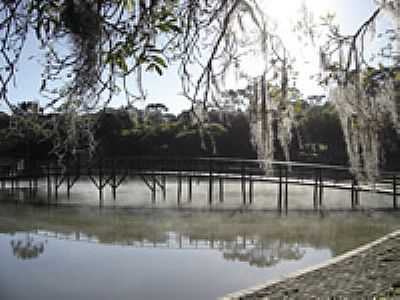 PARQUE DAS ARAUCRIAS - ARVOREZINHA - RS