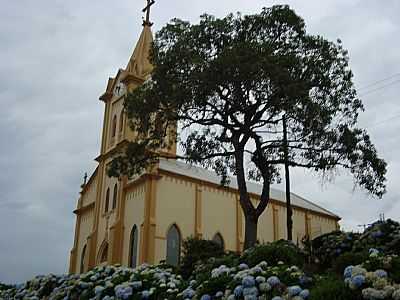 ARVOREZINHA   FOTO
SABRINA TOMAZI DAIPRAI  - ARVOREZINHA - RS