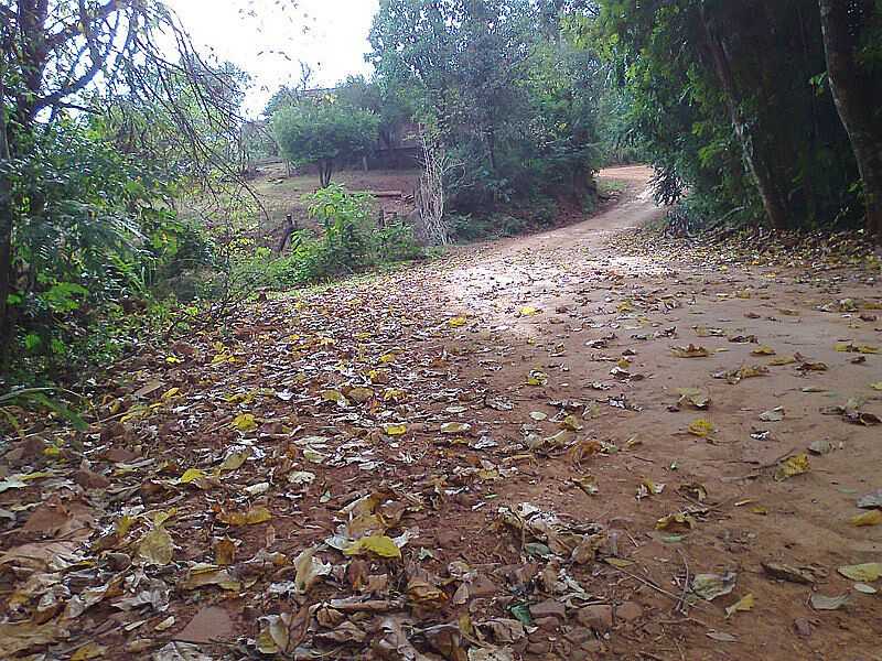 IMAGENS DO DISTRITO DE ATIAU, MUNICPIO DE SARANDI/RS - ATIAU - RS