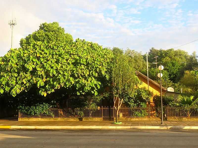 IMAGENS DE BARRA DO QUARA - RS - BARRA DO QUARA - RS