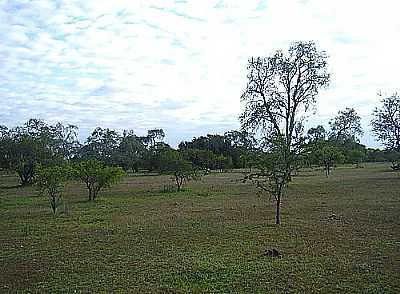PARQUE ESTADUAL DO ESPINILHO-WETB - BARRA DO QUARA - RS