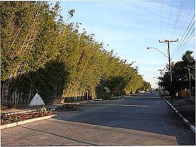 PARQUE MUNICIPAL-FOTO:HENRIQUE DE BORBA - BARRA DO RIBEIRO - RS