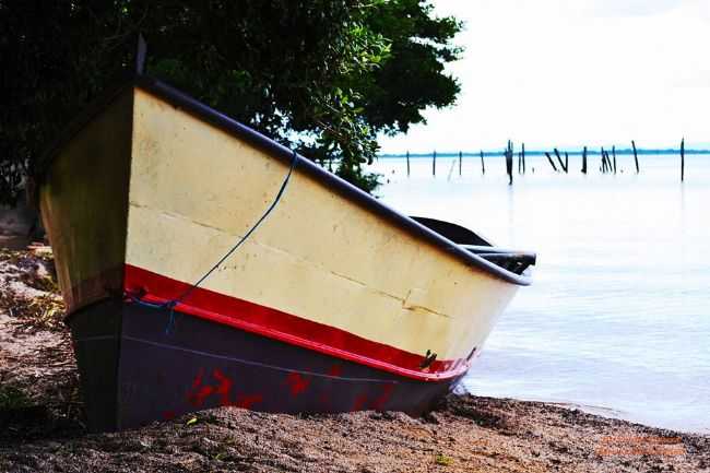 POR LIANDRO FEIJ - BARRA DO RIBEIRO - RS