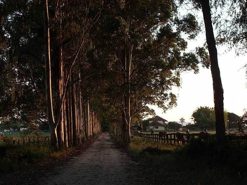 BARRA DO RIBEIRO-RS-ENTRADA DO RECANTO BORGHETTI-FOTO:CICLOSINOS - BARRA DO RIBEIRO - RS