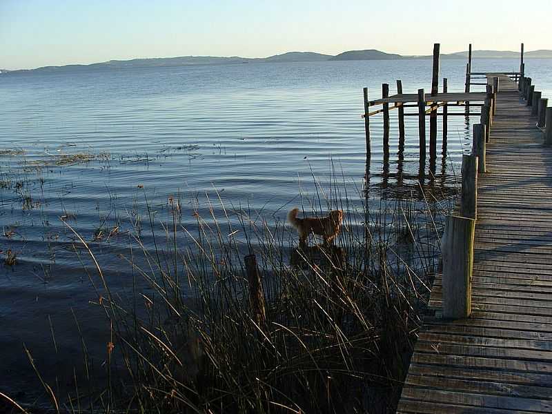 BARRA DO RIBEIRO-RS-TRAPICHE DO RECANTO BORGHETTI-FOTO:CICLOSINOS - BARRA DO RIBEIRO - RS