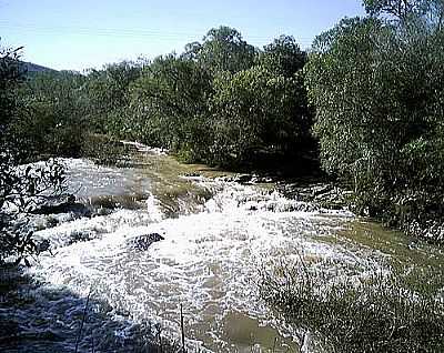 RIO PARDO - FOTO
POR TIAGOZFOTOS - BARROS CASSAL - RS