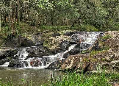 SEDE CAMPESTRE DA SUSFA-FOTO:GERMANO SCHR  - BENTO GONALVES - RS