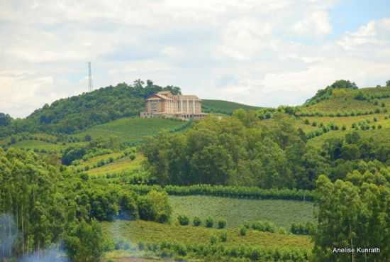 PAISAGEM NO VALE DOS VINHEDOS, POR ANELISE KUNRATH - BENTO GONALVES - RS