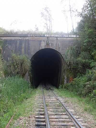 TNEL DE LINHA FERROVIRIA-FOTO:CLAITON NEISSE  - BOCA DO MONTE - RS