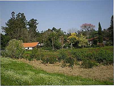 PAISAGEM-HENRIQUELUISENGEL - BOM PRINCPIO - RS