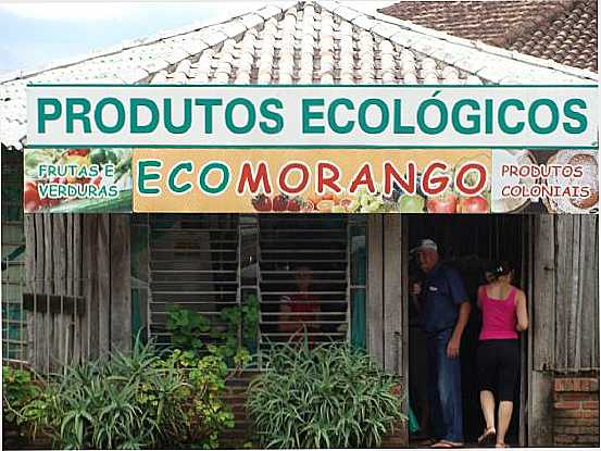 ECOMORANGO E CASA ARTESO, POR ADRIANA STEFFEN - BOM PRINCPIO - RS