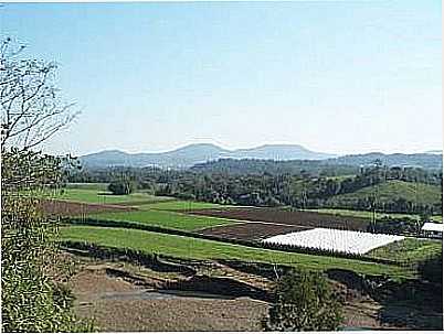 REA AGRCOLA-LUIS ROQUE KLERING - BOM PRINCPIO - RS