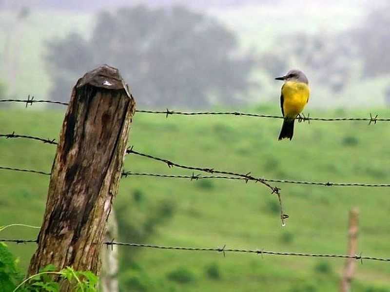 IMAGENS DO DISTRITO DE BURITI - RS - BURITI - RS