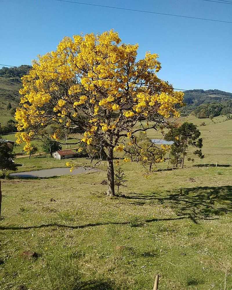 IMAGENS DO DISTRITO DE BURITI - RS - BURITI - RS