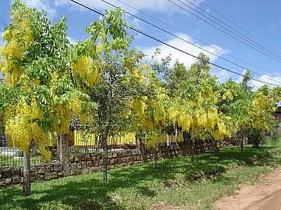 CASA CILEZE-CARLOS ERONY MARQUES - BUTI - RS