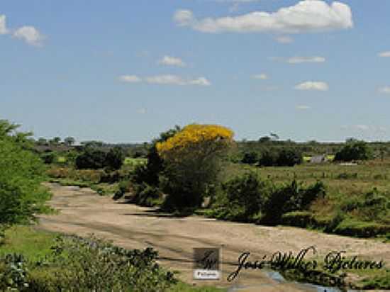 ESTRADA DE  DOIS RIACHOS-AL-FOTO:JOS WILKER - DOIS RIACHOS - AL