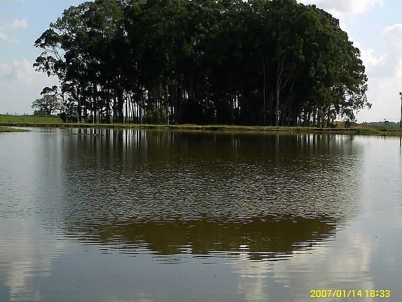 CACHOEIRA DO SUL-RS-AUDE ULBRA-FOTO:ROSA GUTERRES - CACHOEIRA DO SUL - RS