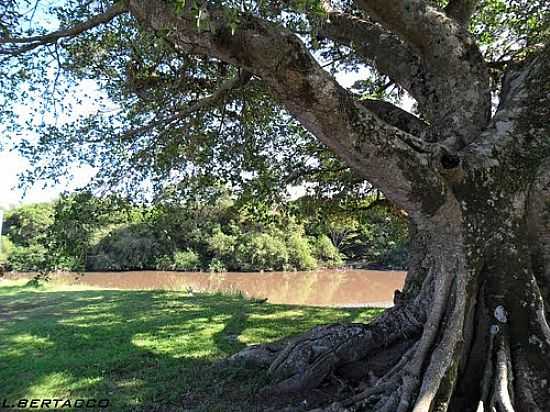 RIO GRAVATA EM CACHOEIRINHA-RS-FOTO:LUCIANO BERTACCO - CACHOEIRINHA - RS