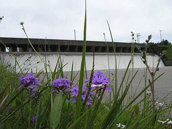 FLORES NO GRAMADO DO VERTEDOURO DA BARRAGEM EM CAMAQU-FOTO:HENRIQUE DE BORBA - CAMAQU - RS