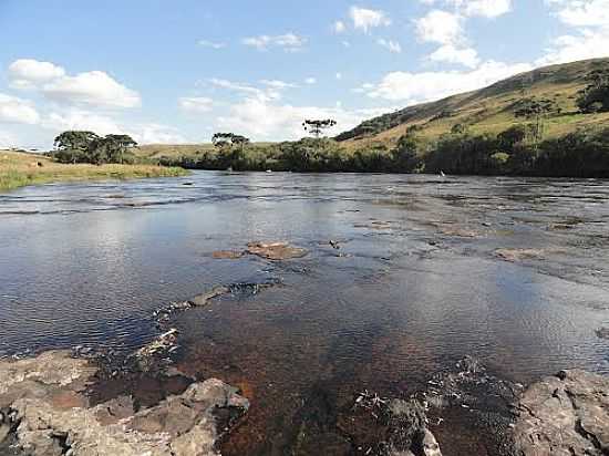 RIO CAMISAS NO LAJEADO MARGARIDAS EM CAMBAR DO SUL-RS-FOTO:CLAITON GIRELLI - CAMBAR DO SUL - RS