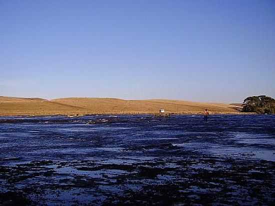 RIO CAMISAS NO LAJEADO MARGARIDAS EM CAMBAR DO SUL-RS-FOTO:ZAIB TECNOLOGIA - CAMBAR DO SUL - RS