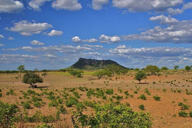 JEREMOABO-BA-SERTO E A SERRA-FOTO:MARCO CARRILHO - JEREMOABO - BA