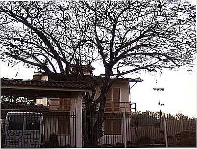 IMAGEM-FOTO:MGOSTINSKI - CAMPO BOM - RS
