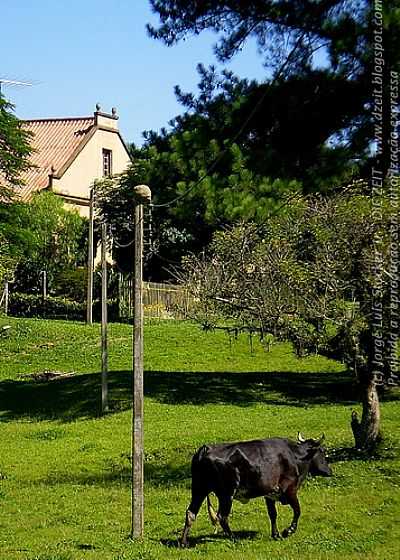 RURAL URBANO POR JORGE L STOCKER - CAMPO BOM - RS