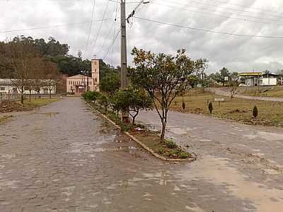 CAMPO BRANCO-FOTO:TIAGOZFOTOS  - CAMPO BRANCO - RS