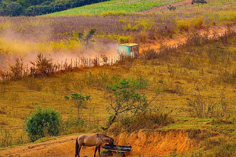 IMAGENS DO MUNICPIO DE CAMPO DO MEIO/RS - CAMPO DO MEIO - RS