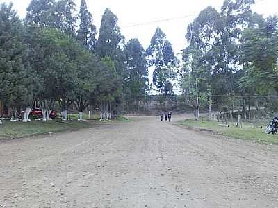 CAMPO NOVO   FOTO
POR TIAGOZFOTOS - CAMPO NOVO - RS