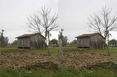 CAMPO VICENTE-POR LICEO PIOVESAN - CAMPO VICENTE - RS