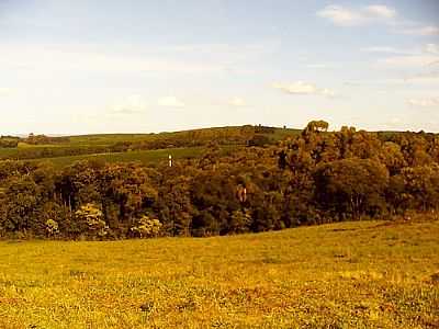 PAISAGEM-FOTO:ONEIDEJORGE - CAMPOS BORGES - RS