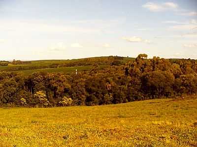 PAISAGEM-FOTO:ONEIDEJORGE - CAMPOS BORGES - RS