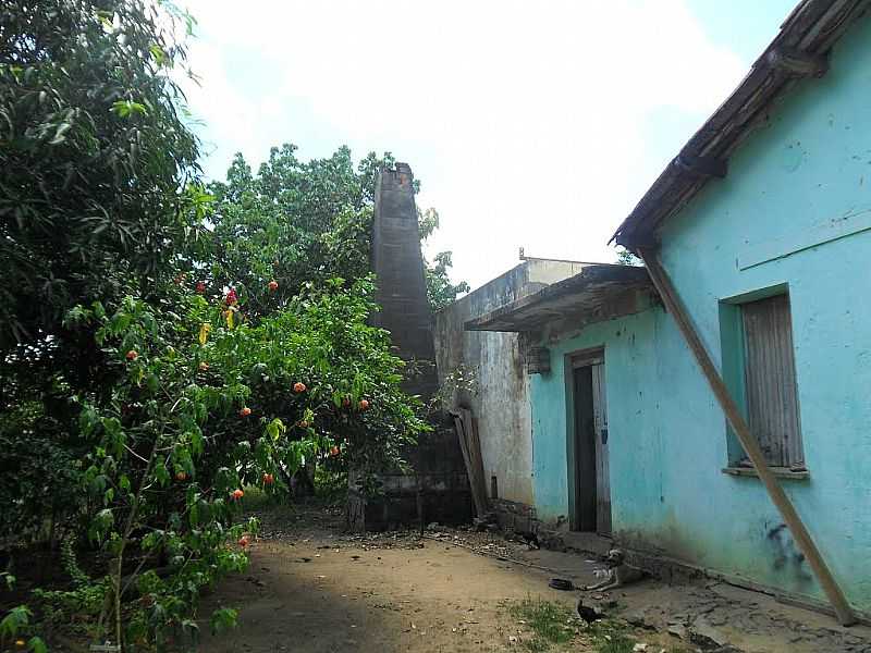 JITANA-BA-POMAR E CHAMIN DE BARCAA-FOTO:ELIEZER PEDREIRA SANTOS - JITANA - BA